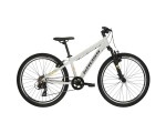 Rower górski MTB KROSS Dust Jr 1.0 Szary 24"