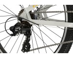 Rower górski MTB KROSS Dust Jr 1.0 Szary 24"