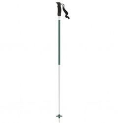 Kije narciarskie ATOMIC Redster Q Zielone