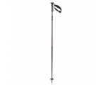 Kije narciarskie SALOMON Polar Pro S3 Zielone