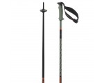 Kije narciarskie SALOMON Polar Pro S3 Zielone