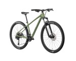Rower górski RAYMON Nayta Pro Zielony 29"