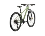 Rower górski RAYMON Nayta Pro Zielony 29"
