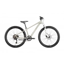 Rower górski RAYMON Nayta Pro Szary 26"