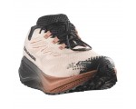 Buty do biegania SALOMON Aero Blaze 4 GRVL GTX Beżowe