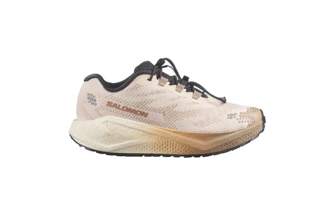 Buty SALOMON Aero Blaze 4 GRVL W Beżowe