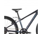 Rower górski RAYMON Nayta Comp Kameleon 24"