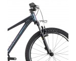 Rower górski RAYMON Nayta Comp Kameleon 24"