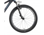 Rower górski RAYMON Nayta Comp Kameleon 24"