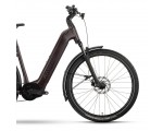Rower elektryczny RAYMON Tahona Wave Brązowy 600Wh 29"