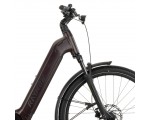 Rower elektryczny RAYMON Tahona Wave Brązowy 600Wh 29"